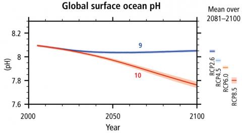 Graph of global ocean surface pH