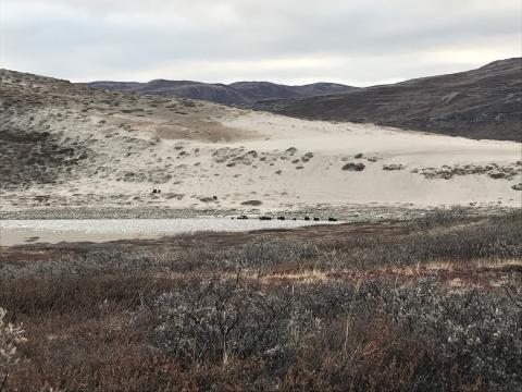 Greenland open sand area
