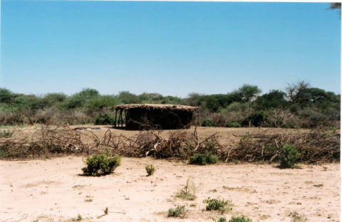 Pastoralist Hut