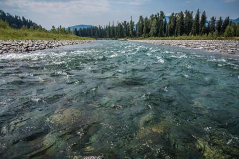 The Waters of the Flathead River