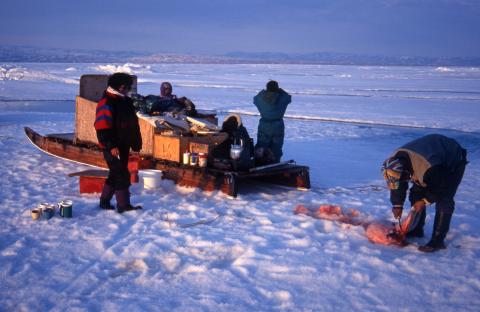 Inuit family harvesting seal on sea ice