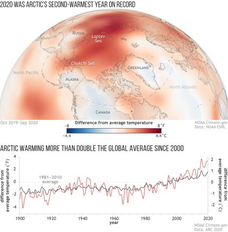Arctic warming vs global 